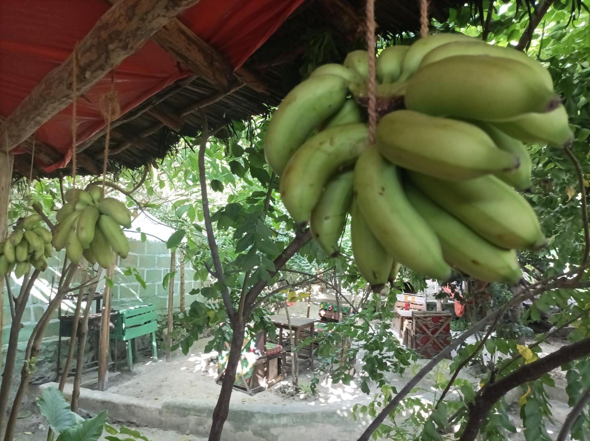 Mamarasta Bed & Breakfast Bwejuu Luaran gambar